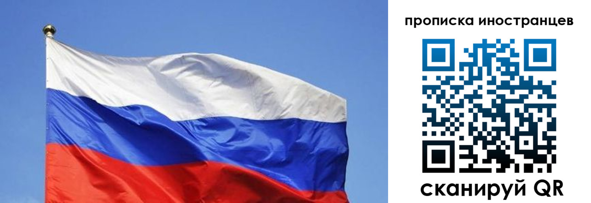 регистрация в Димитровграде