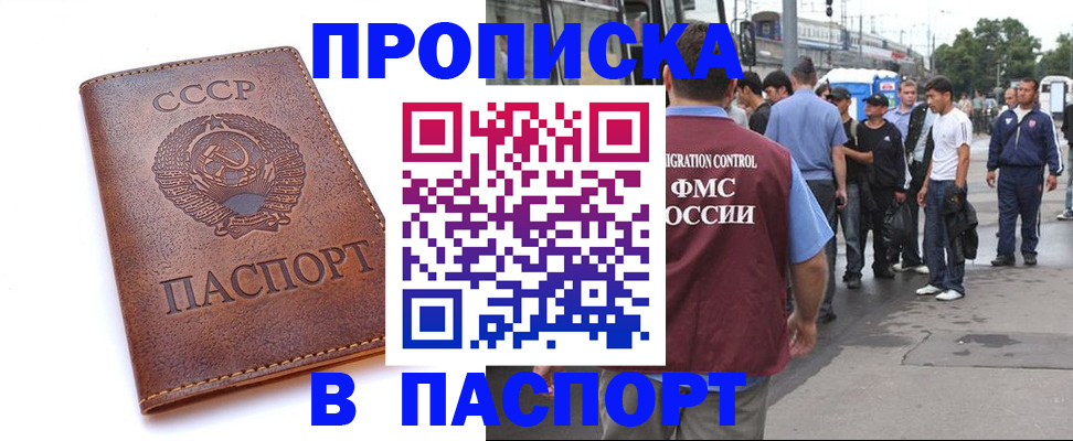 временная регистрация поиск в Димитровграде